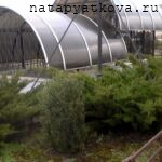 итория храма2