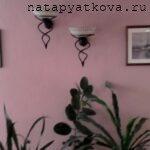 гостиница садко 3