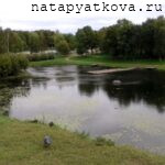 Пруд у Мирожского монастыря