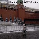 Вид на Сенатскую башню