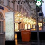 Театральная площадь.Новый год. Световые деревья