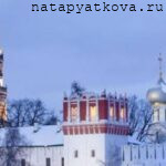 Новодевичий монастырь зимой. Общий вид  2