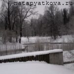 Вид на Оранжерейные пруды