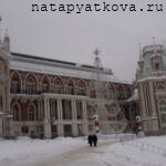 Вид на Центральную часть Большого дворца в Царицыно