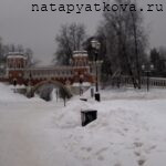 Фигурный мост издалека