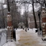 Вид на Оперный дом в Царицыно