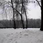 Вид на парк у Большого дворца