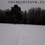 Тропинка к Большому дубу