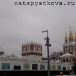 Вид 1 Новодевичий монастырь