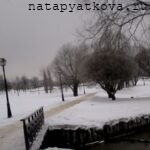 Тропинка к Царицынской плотины от центральной аллеи