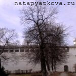 Крепостная стена Владычьего двора от Водяной до Часовенной башни