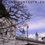 Вид на Башню у пивоварни со стороны Садовой башни