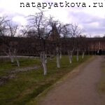 Митрополичий сад