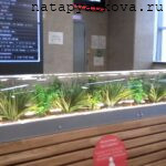 Интерьер в зале ожидания на вокзале в Нижнем Новгороде вид 1