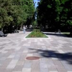 Москва. Северный речной вокзал. Аллея парка - вид 2